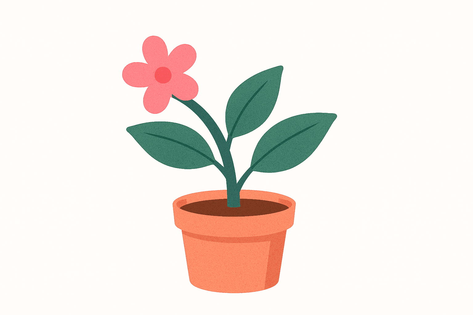 plant